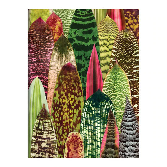 Houseplant Jungle Greeting Assortment Notecards