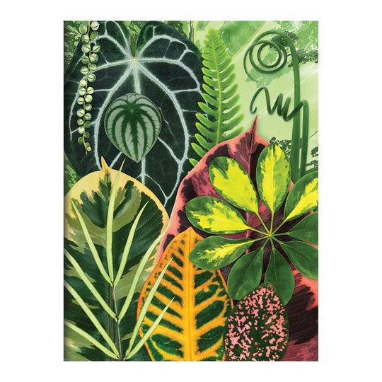 Houseplant Jungle Greeting Assortment Notecards