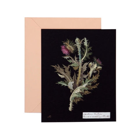 Eighteenth-century British artist Mary Delany created each piece by cutting and layering tiny pieces of paper on black ink backgrounds.