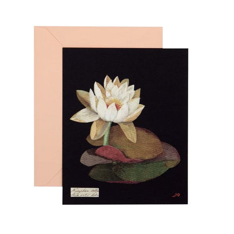 The set features sunflowers, rhododendron, cornflower, water lilies, and more.