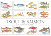 Crane Creek Graphics Trout & Salmon Notecard Folio- set of 12 cards and envelopes